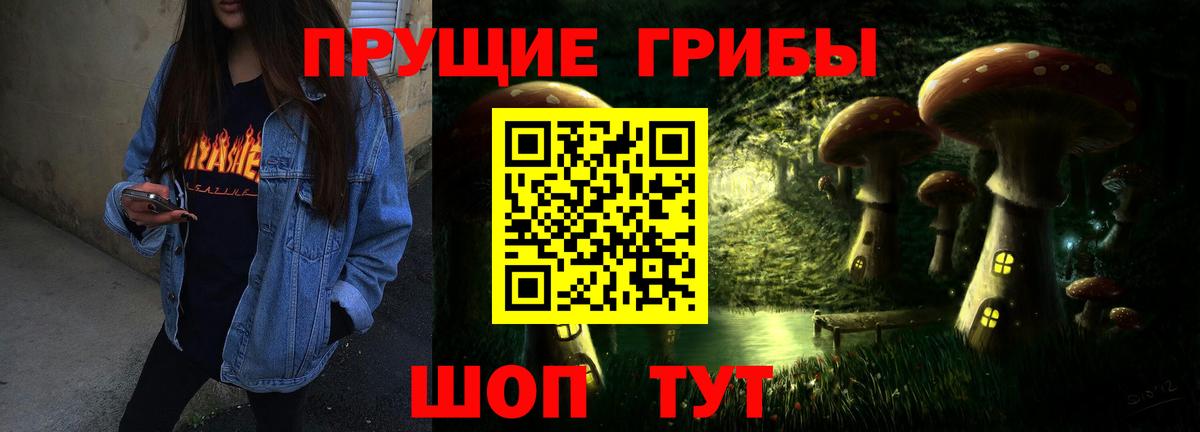 Псилоцибиновые грибы Psilocybine cubensis  Вход с VPN  где купить наркотик  Балашиха 